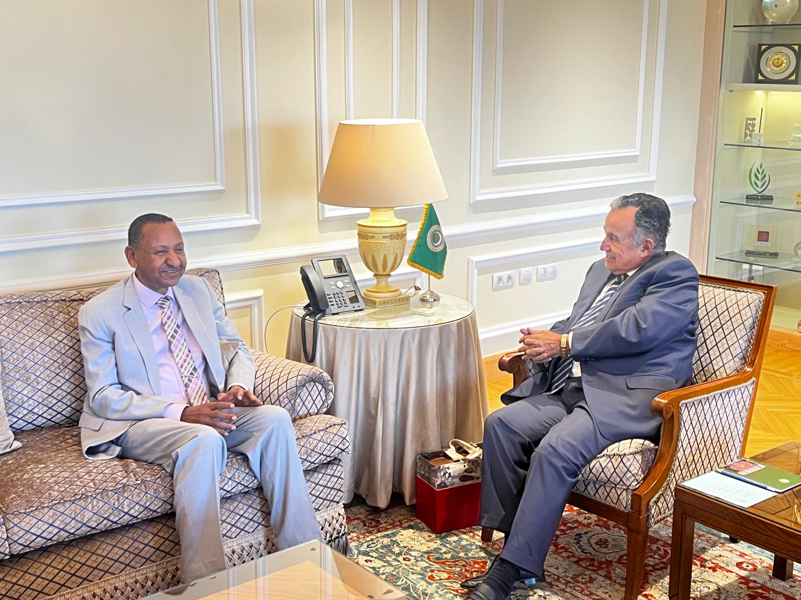 أخبار profmustafa.net: د. مصطفى عثمان إسماعيل يلتقي الأمين العام لجامعة الدول العربية نبيل فهمي بالقاهرة